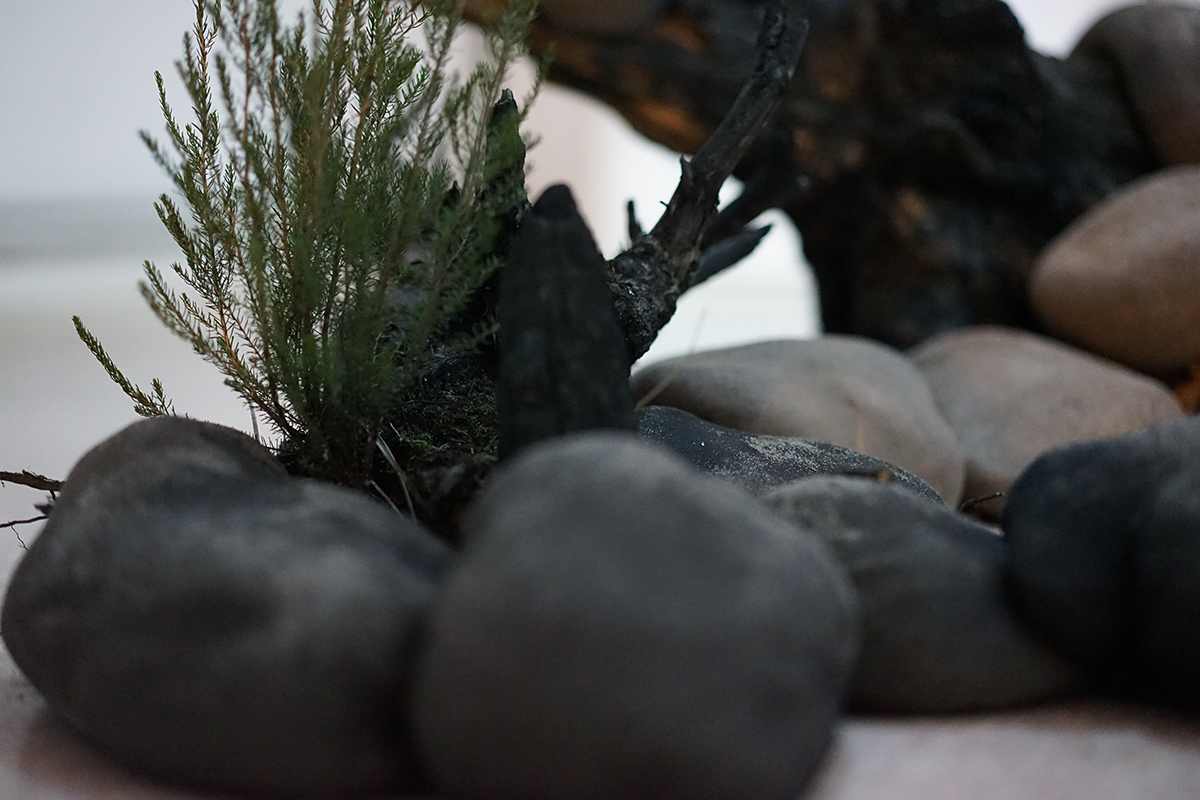 Scénographie, "Terre Maudite" réalisée par la graphiste et designeuse Clara Loustau ainsi que l'illustrateur et graphiste Thibaut Bourgeois lors de la résidence Artistique menée à Callen à l'initiative du Maire Yann Bouffin ainsi que Jean-Francois Dumont, en septembre 2023 à Callen, Landes, France. Terre Maudite est un projet de recherche et de production autour des légendes de la terre des Landes.